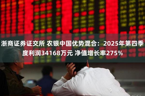 浙商证券证交所 农银中国优势混合：2025年第四季度利润34168万元 净值增长率275%