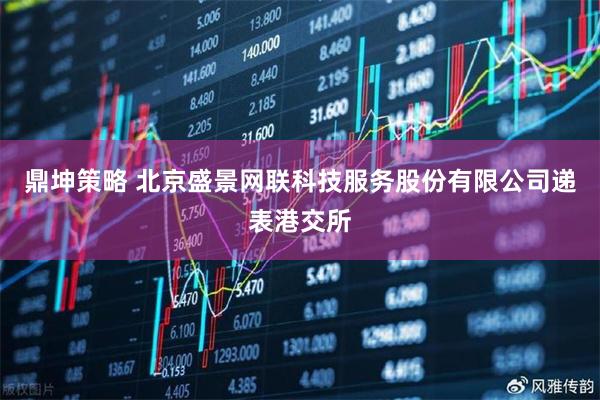 鼎坤策略 北京盛景网联科技服务股份有限公司递表港交所